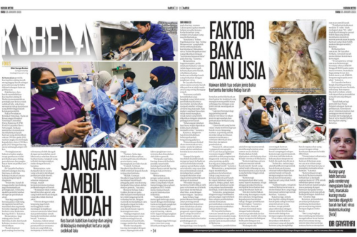 Kucing dan anjing berisiko mengidap barah